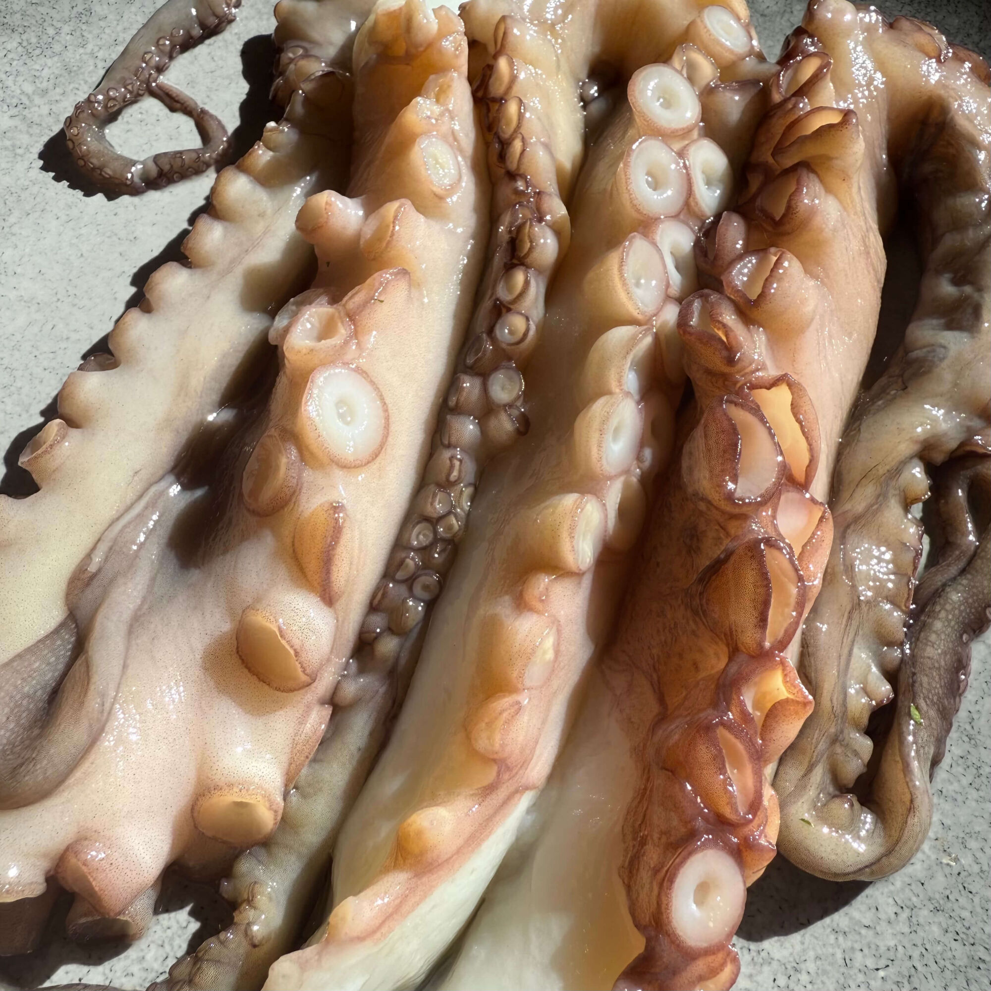 Fremantle Octopus Tentacles (Raw) 300g